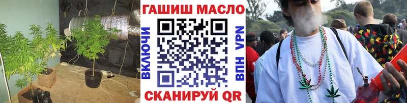 ТГК THC oil  сколько стоит  Новоузенск 
