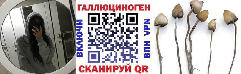Псилоцибиновые грибы Magic Shrooms  продажа наркотиков  darknet телеграм  Новоузенск 